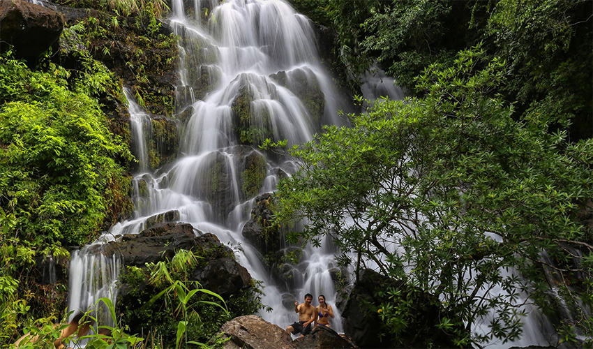 Botanic-Garden-Phong-Nha