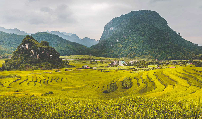 Pu-Luong-Nature-Reserve-hanoi-to-phong-nha