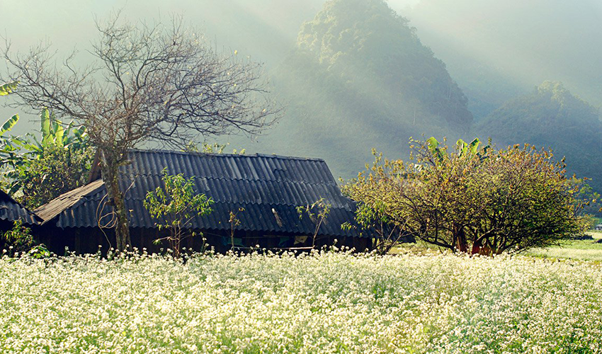 expect-from-Hanoi-to-Moc-Chau